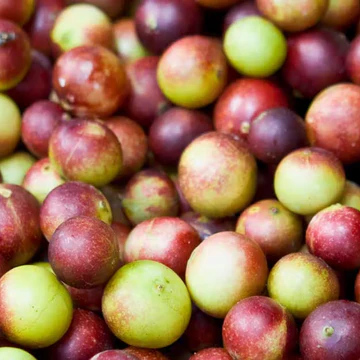 Camu Camu - Vitamin C