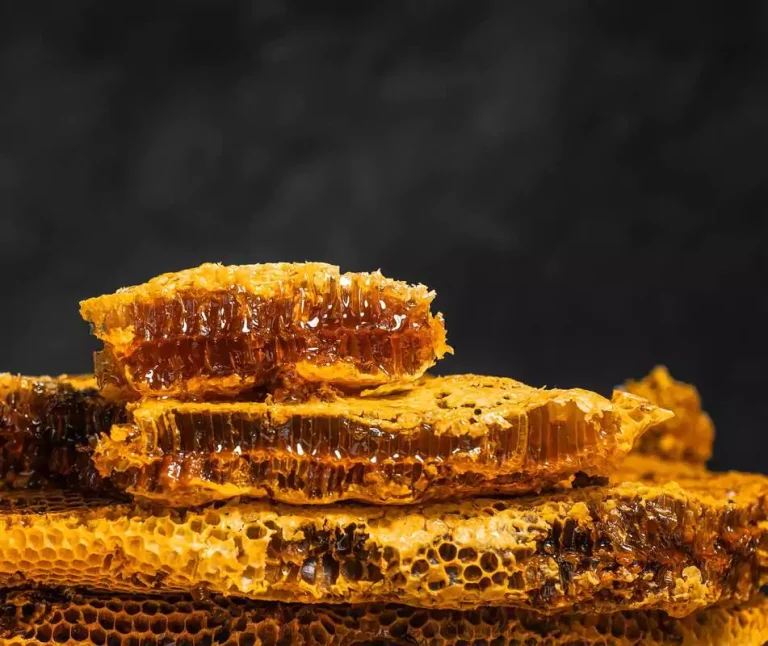 Bienenwachs für Sonnencreme