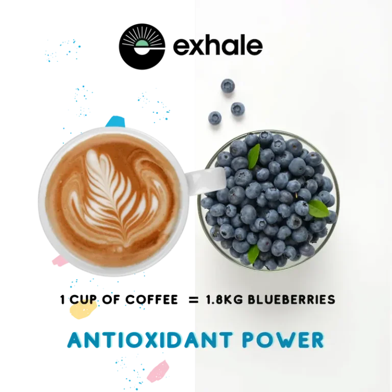 Exhale Organic Coffee mit Antioxidantien wie 1,8 kg Blaubeeren, gesunder Kaffee