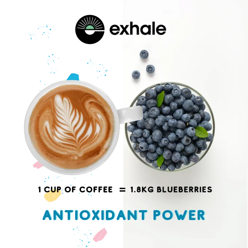 Exhale Organic Coffee mit Antioxidantien wie 1,8 kg Blaubeeren, gesunder Kaffee