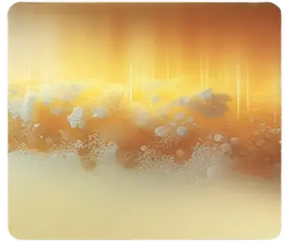 Prozess der BIO Ghee Herstellung Trennung von Butterfett und Molkenresten