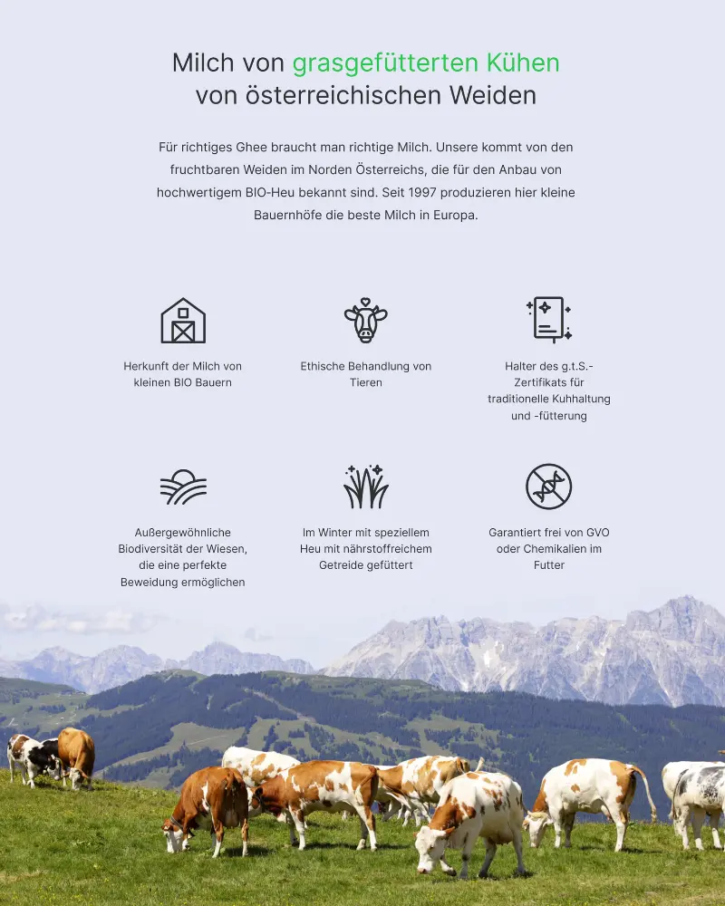 Echte Qualität beginnt auf der Weide: Unsere Bio-Milch stammt von kleinen Bauernhöfen mit höchsten Standards für Tierwohl und Weidefütterung. Für Ghee, das man mit gutem Gewissen genießen kann