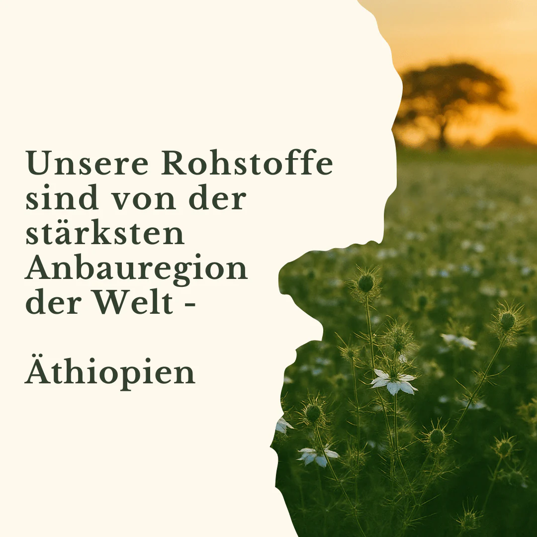 Schwarzkümmelöl Äthiopisch 10 Äthiopisch zertifiziertes Schwarzkümmelöl von E.B. Nature aus der stärksten Anbauregion der Welt.