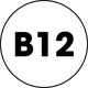 icon b12
